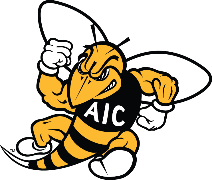 AIC Yellow Jackets 2009-Pres Secondary Logo t shirts DIY iron ons
